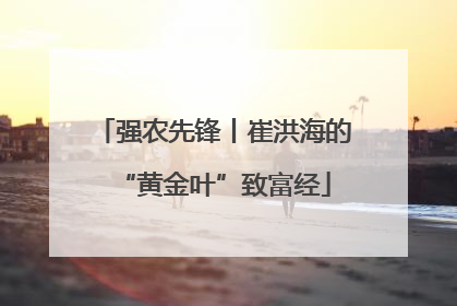 强农先锋丨崔洪海的“黄金叶”致富经