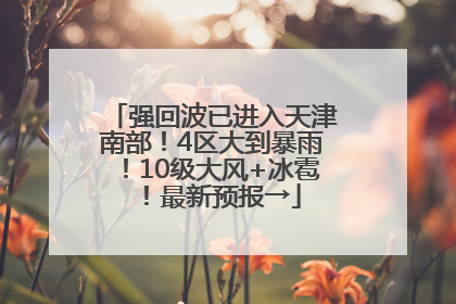 强回波已进入天津南部！4区大到暴雨！10级大风+冰雹！最新预报→