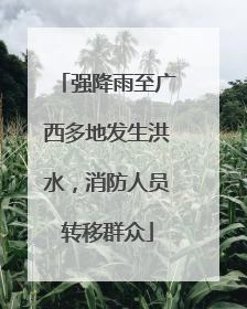 强降雨至广西多地发生洪水，消防人员转移群众