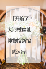 开馆了！大河村遗址博物馆新馆试运行