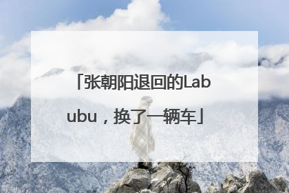 张朝阳退回的Labubu，换了一辆车