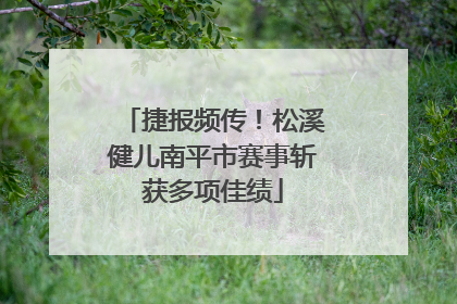 捷报频传！松溪健儿南平市赛事斩获多项佳绩