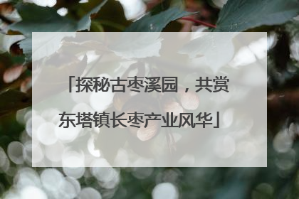 探秘古枣溪园，共赏东塔镇长枣产业风华