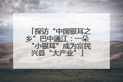 探访“中国银耳之乡”巴中通江：一朵“小银耳”成为富民兴县“大产业”