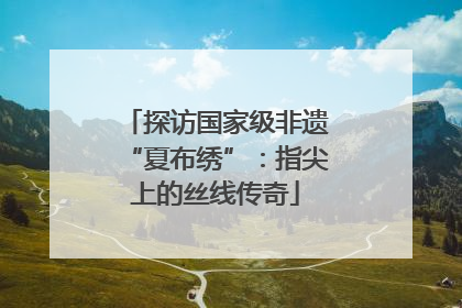 探访国家级非遗“夏布绣”：指尖上的丝线传奇