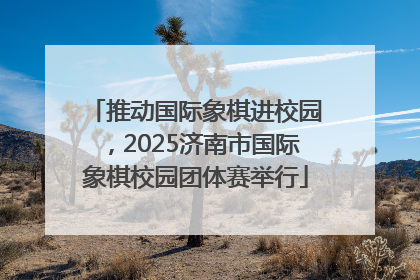 推动国际象棋进校园，2025济南市国际象棋校园团体赛举行