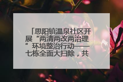 思阳镇温泉社区开展“两清两改两治理”环境整治行动——七栋全面大扫除，共建洁净家园