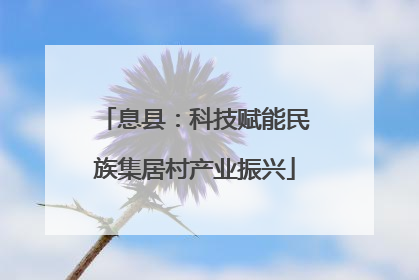 息县：科技赋能民族集居村产业振兴