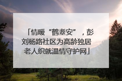 情暖“鹤耋安”，彭刘杨路社区为高龄独居老人织就温情守护网