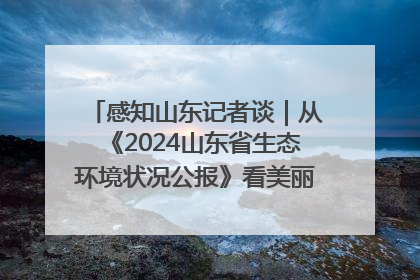 感知山东记者谈｜从《2024山东省生态环境状况公报》看美丽山东建设的“成绩单”与“任务书”