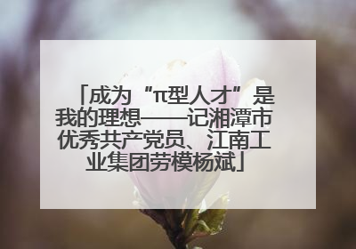 成为“π型人才”是我的理想——记湘潭市优秀共产党员、江南工业集团劳模杨斌