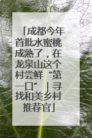 成都今年首批水蜜桃成熟了，在龙泉山这个村尝鲜“第一口”｜寻找和美乡村推荐官