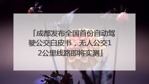 成都发布全国首份自动驾驶公交白皮书，无人公交12公里线路即将实测