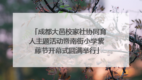 成都大邑校家社协同育人主题活动暨南街小学紫藤节开幕式圆满举行