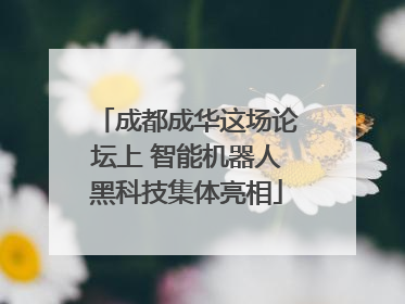成都成华这场论坛上 智能机器人黑科技集体亮相