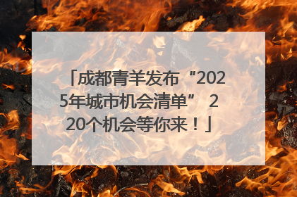 成都青羊发布“2025年城市机会清单” 220个机会等你来！