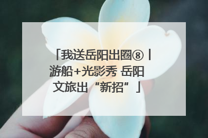 我送岳阳出圈⑧丨游船+光影秀 岳阳文旅出“新招”
