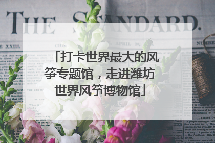 打卡世界最大的风筝专题馆，走进潍坊世界风筝博物馆