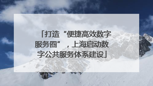 打造“便捷高效数字服务圈”，上海启动数字公共服务体系建设
