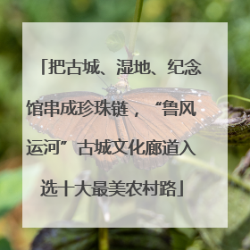 把古城、湿地、纪念馆串成珍珠链，“鲁风运河”古城文化廊道入选十大最美农村路
