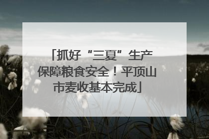 抓好“三夏”生产 保障粮食安全！平顶山市麦收基本完成