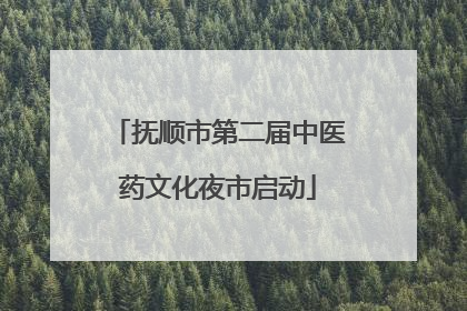 抚顺市第二届中医药文化夜市启动