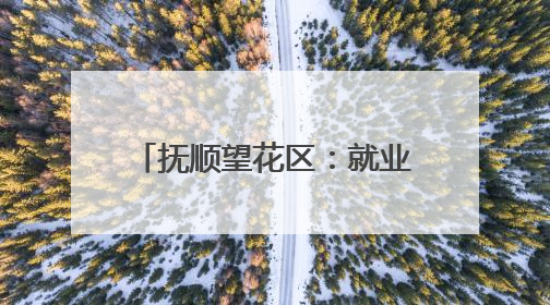 抚顺望花区：就业服务“出圈” 居民幸福“加码”