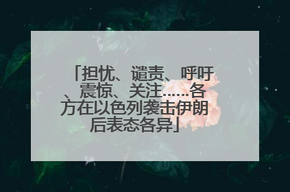 担忧、谴责、呼吁、震惊、关注……各方在以色列袭击伊朗后表态各异
