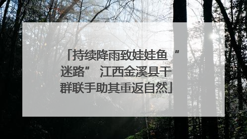 持续降雨致娃娃鱼“迷路” 江西金溪县干群联手助其重返自然