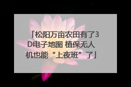 松阳万亩农田有了3D电子地图 植保无人机也能“上夜班”了
