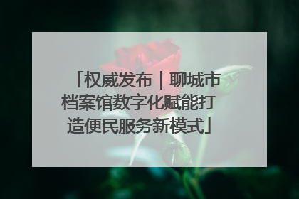 权威发布｜聊城市档案馆数字化赋能打造便民服务新模式
