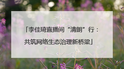 李佳琦直播间“清朗”行：共筑网络生态治理新桥梁