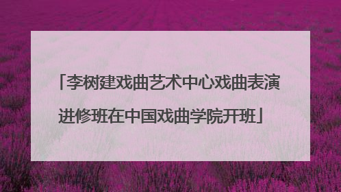 李树建戏曲艺术中心戏曲表演进修班在中国戏曲学院开班