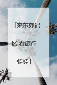 来东郊记忆 看旅行蛙蛙