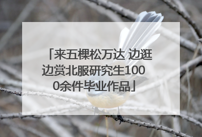 来五棵松万达 边逛边赏北服研究生1000余件毕业作品