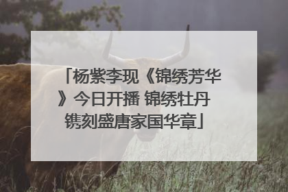 杨紫李现《锦绣芳华》今日开播 锦绣牡丹镌刻盛唐家国华章