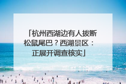 杭州西湖边有人拔断松鼠尾巴？西湖景区：正展开调查核实