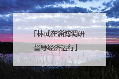 林武在淄博调研督导经济运行