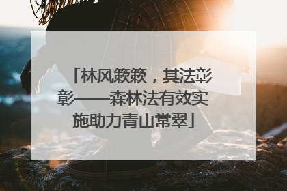 林风簌簌，其法彰彰——森林法有效实施助力青山常翠