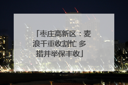 枣庄高新区：麦浪千重收割忙 多措并举保丰收