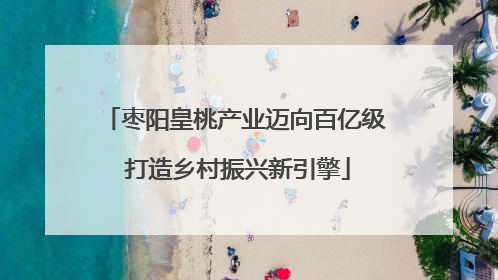 枣阳皇桃产业迈向百亿级 打造乡村振兴新引擎