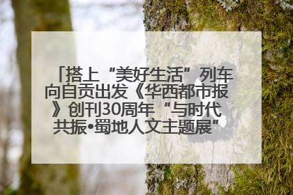 搭上“美好生活”列车向自贡出发《华西都市报》创刊30周年“与时代共振•蜀地人文主题展”5月30日开展丨美好生活有“盐”味
