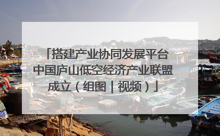 搭建产业协同发展平台 中国庐山低空经济产业联盟成立（组图｜视频）