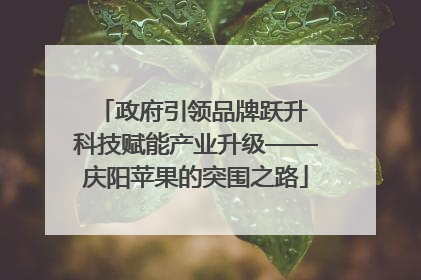 政府引领品牌跃升 科技赋能产业升级——庆阳苹果的突围之路