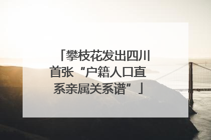 攀枝花发出四川首张“户籍人口直系亲属关系谱”