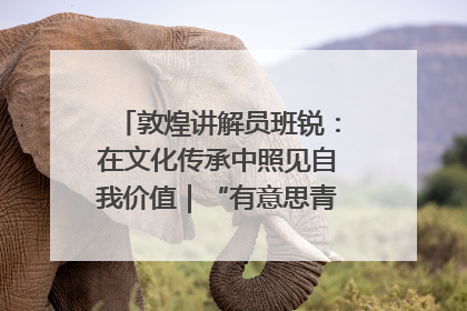 敦煌讲解员班锐：在文化传承中照见自我价值｜“有意思青年”高校公益计划