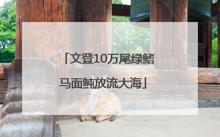 文登10万尾绿鳍马面鲀放流大海