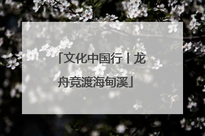 文化中国行丨龙舟竞渡海甸溪