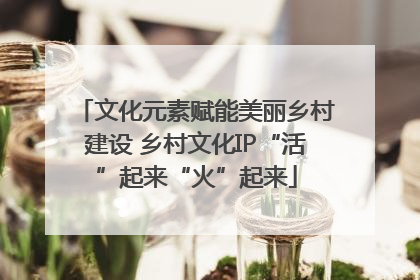 文化元素赋能美丽乡村建设 乡村文化IP“活”起来“火”起来
