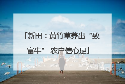 新田：黄竹草养出“致富牛” 农户信心足